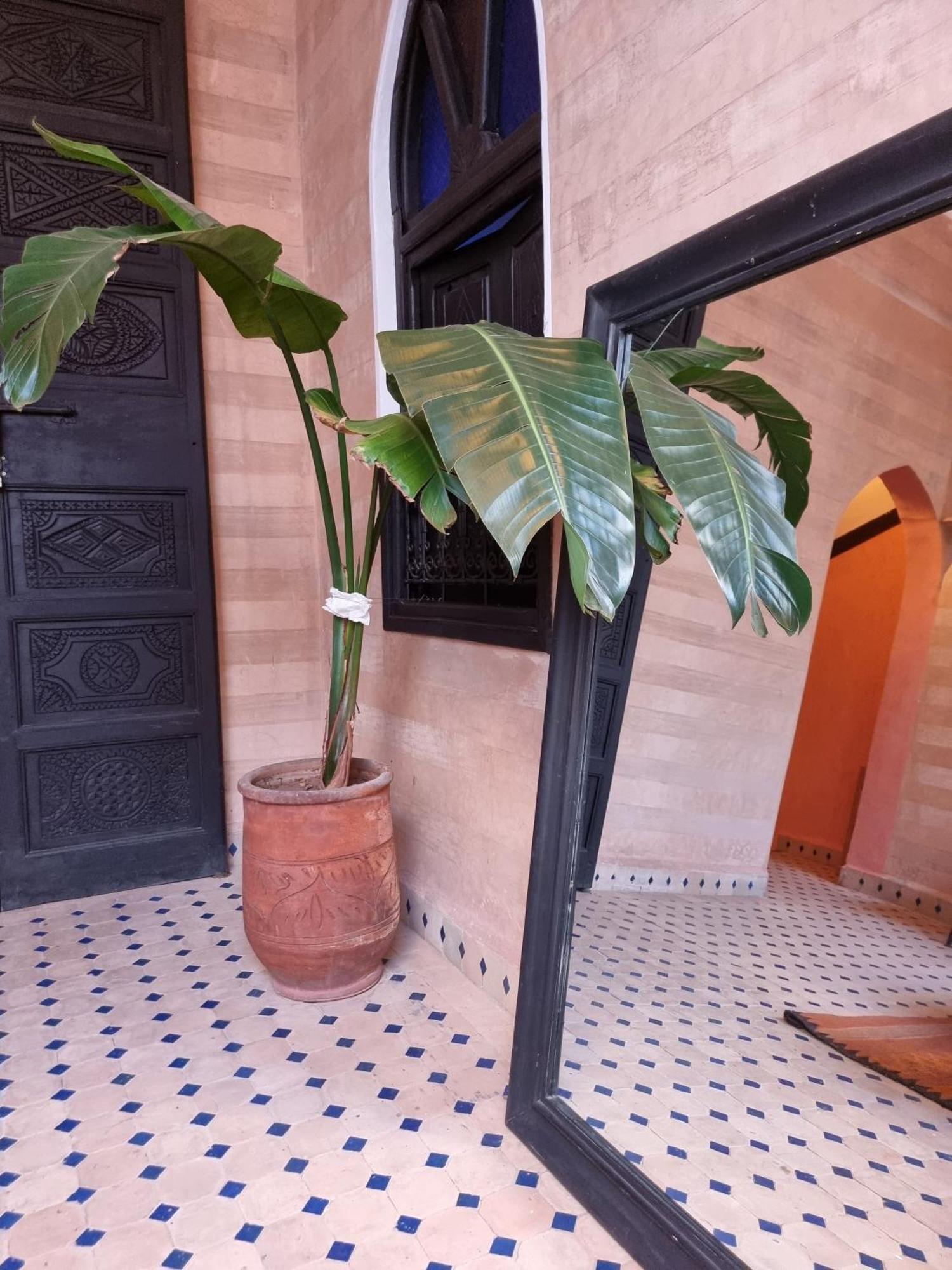 Riad Black Doors Marrakesh Esterno foto