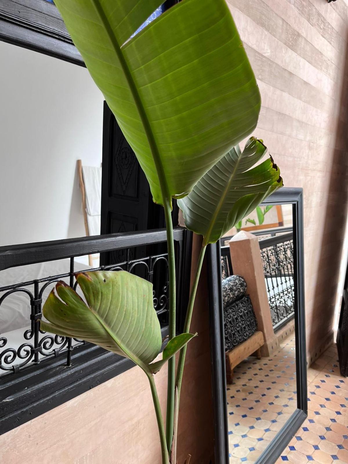 Riad Black Doors Marrakesh Esterno foto