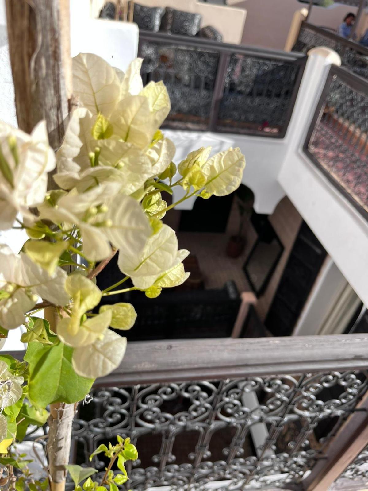 Riad Black Doors Marrakesh Esterno foto